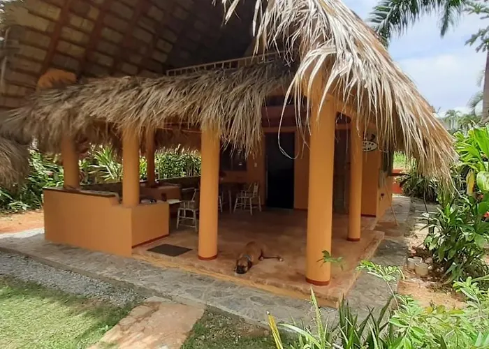 Casa 3 Amigos-Palm Roofed House