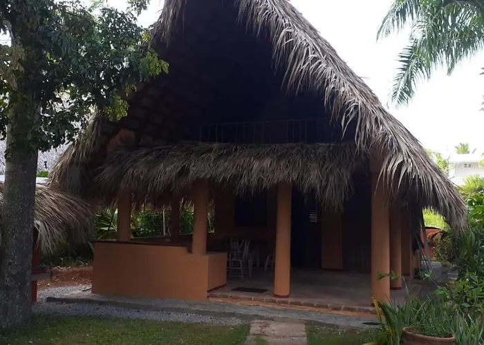 Casa 3 Amigos-Palm Roofed House