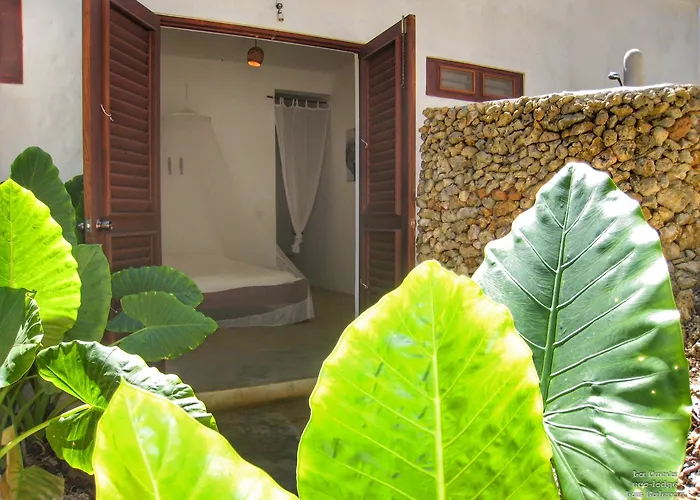 La Cueva Eco-Lodge