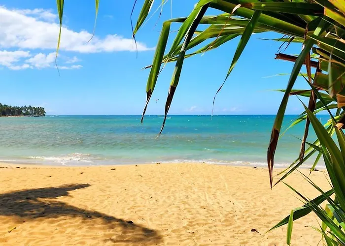 Beach Front 3 Bedroom Villa With Pool Sleeps 7